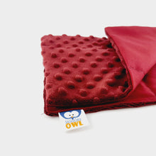 Load image into Gallery viewer, SOFT LAP PILLOW | SENSORY OWL