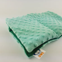 Load image into Gallery viewer, SOFT LAP PILLOW | SENSORY OWL